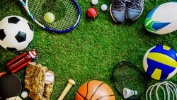 Изменения в федеральном законодательстве о спорте вступят в силу в Белгородской области с 1 сентября