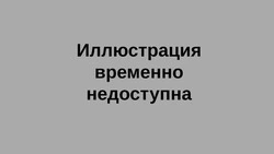  Многодетные семьи Белгородской области смогут получить компенсацию за обучение детей