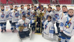 Старооскольские хоккеисты стали победителями турнира «Лёд и пламя»
