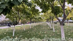 Старооскольские школьники и студенты смогут найти работу в свободное от учёбы время