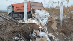 Региональный оператор обнаружил более 38 крупных очагов скопления мусора в области