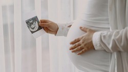 Старооскольская администрация назвала причины отказа в пособии по беременности