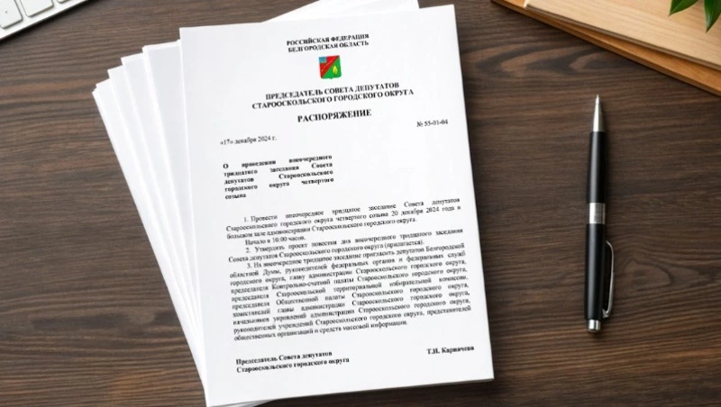 Распоряжение председателя Совета депутатов СГО от 28.11.2025 № 23-01-04