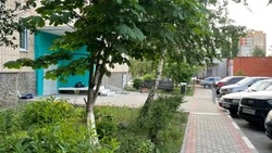 Старооскольцы смогут сами управлять своей улицей