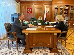 Вячеслав Гладков встретился с вице-премьером Татьяной Голиковой