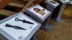 Выставка объёмно-тактильных панелей открылась в Старооскольском краеведческом музее 