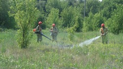 Работники старооскольской лесопожарной охраны проводят профилактику лесных катастроф 
