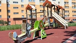 Андрей Чесноков проконтролировал ход работ на обустраиваемых площадках округа