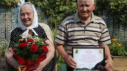 Супруги Гребёнкины из села Городище отметили благодатную свадьбу