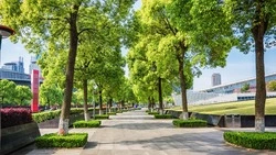 Жители Старого Оскола смогут предложить собственные проекты для улучшения городской среды