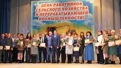 Представители отрасли сельского хозяйства получили награды
