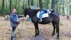 72 ребёнка приняли участие в проекте «Игогошка» в Старом Осколе