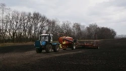 Андрей Чесноков сообщил о старте посевной кампании в Старооскольском городском округе