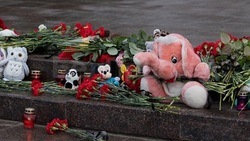 Жители пожертвовали 17 млн рублей для помощи пострадавшим при обстрелах Белгорода 