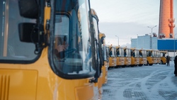 Старооскольский педагогический колледж получил современные автобусы
