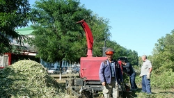 Коммунальщики Старого Оскола приступили к расчистке берега реки Осколец