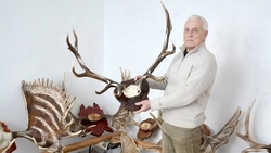 Староосколец Пётр Кузнецов собрал коллецию лосиных рогов