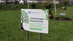 Аллею молодых специалистов заложили на территории окружной больницы Святителя Луки Крымского