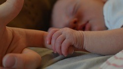 Белгородские семьи при рождении пятого ребёнка начнут получать выплаты уже с мая