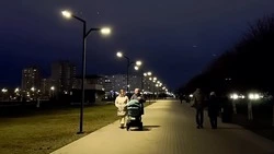 В старооскольском парке «Зелёный лог» отремонтировали освещение