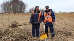 В России отмечают День работников бытового обслуживания населения и жилищно-коммунального хозяйства
