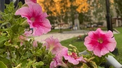 Андрей Чесноков провёл большой прямой эфир 6 сентября