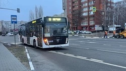 Стоимость льготного проезда изменилась в Старом Осколе