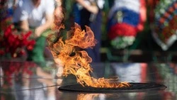 Белгородцы смогут присоединиться к Всероссийской акции «Бессмертный полк России онлайн»