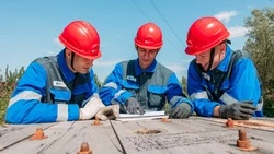 Студенческий энергетический отряд помог подготовить электросетевой комплекс региона к зиме