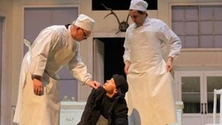 Старооскольцы увидели спектакль «Собачье сердце»