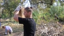 Областной экологический субботник прошёл в Старом Осколе 29 и 30 сентября 