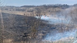 Сотрудники МЧС ликвидировали 20 ландшафтных пожаров в регионе за прошедшую неделю