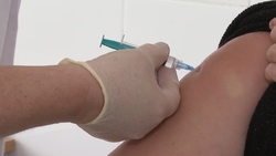 Более 98 тысяч белгородцев сделали вакцину от коронавируса