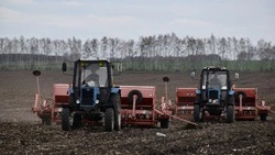 В разгар весеннего сева началась активная работа в полях