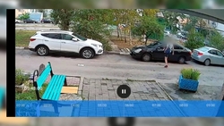 Видеозапись помогла изобличить агрессивного автовандала в Старом Осколе