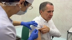 Вячеслав Гладков поставил прививку от гриппа