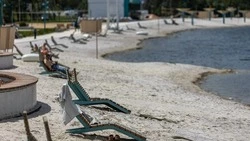 Вячеслав Гладков – о подготовке белгородских пляжей к купальному сезону 