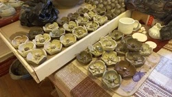 Старооскольский Дом ремёсел открыл проект «По страницам Красной книги»