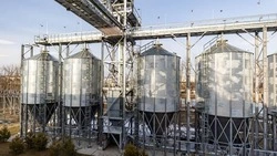 Вячеслав Гладков: компания «ЭФКО» увеличила объём экспорта подсолнечного масла в два раза 