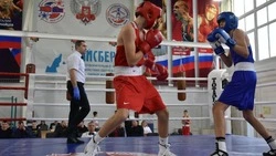 Первенство Белгородской области по боксу стартовало в Старом Осколе