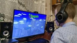 Россияне рассказали о своём отношении к видеоиграм и киберспорту