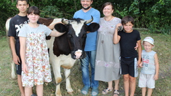 Старооскольская семья приобрела корову благодаря соцконтракту