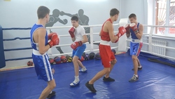 Власти открыли новый зал бокса в Старом Осколе