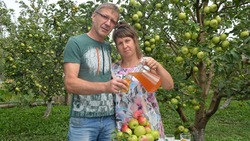 Житель Федосеевки Старооскольского округа рассказал о своём яблоневом саде 