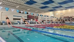 XXIX традиционный турнир городов Черноземья прошёл на базе Академии плавания