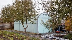 Вячеслав Гладков рассказал о выделении ещё 200 млн рублей на предоставление соцконтрактов