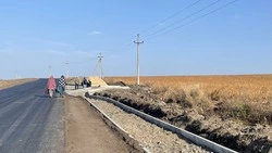 Старооскольские дачники пожаловались на отсутствие остановки в СНТ «Соловьиная роща»