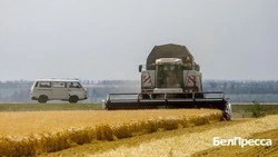 Вячеслав Гладков – о завершении сева озимой пшеницы в Белгородской области