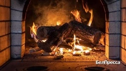 Вячеслав Гладков рассказал о заготовке дров на случай нештатного отключения электроэнергии