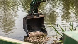 Вячеслав Гладков заслушал доклад о проведении экологических дней в Белгородской области